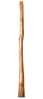 Tristan O'Meara Didgeridoo (TM397)